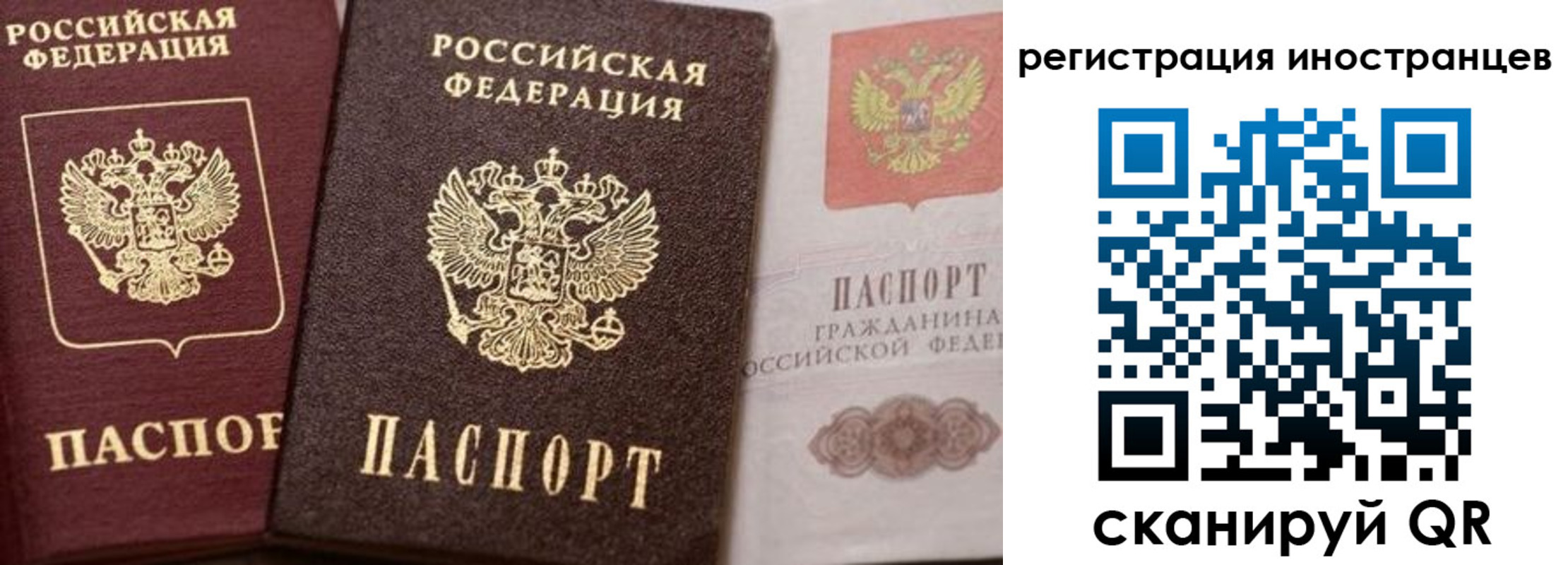 временная регистрация купить в Стародубе